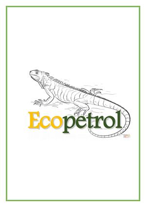 Procesar La Informacion