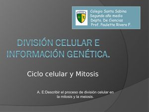 Ciclo Celular Y Mitosis, 2do