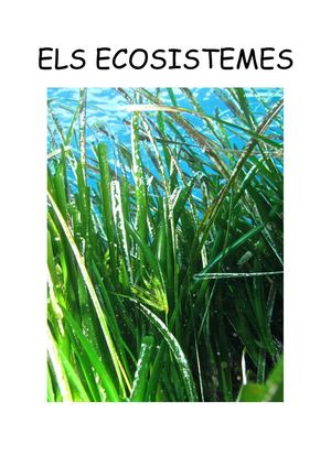 WEBQUEST ELS ECOSISTEMES