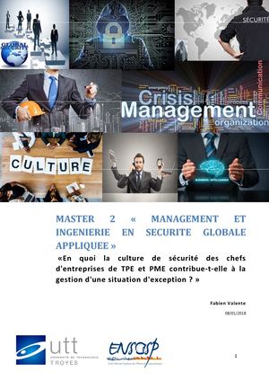 Mémoire Master 2 IMSGA