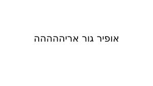 אופיר גור אריההההה