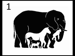 Imagenes Reales E Irreales