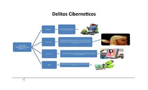 Delitos Ciberneticos Aa 704 Bueno