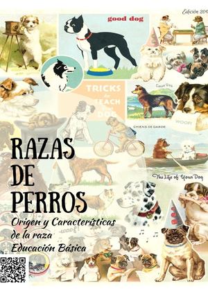 Razas De Perros