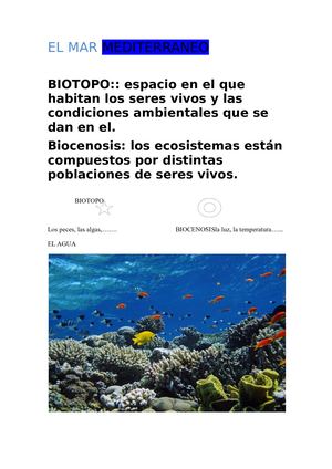 El Mar Mediterraneo Alex Abadias 1ºb (Biotopos Biocenosis)