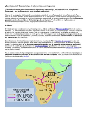 Eva Mitocondrial O Africana