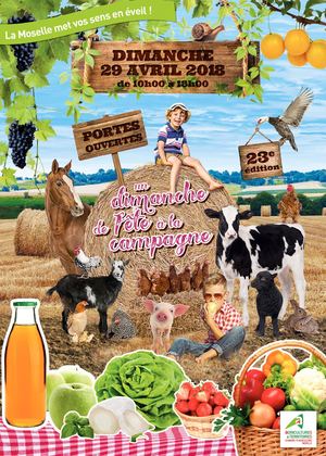 Depliant 3volets Bd Pap