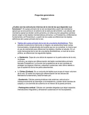 Preguntas Generadoras 1