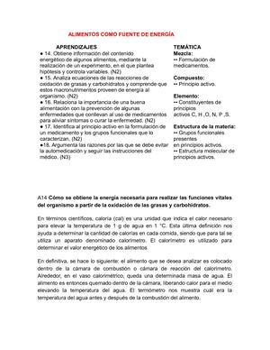 Alimentos Como Fuente De Energía