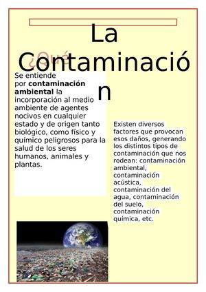 Boletin De La Contaminacion