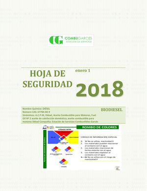Hoja De Seguridad Diesel 18