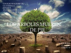 Los Arboles Mueren De Pie