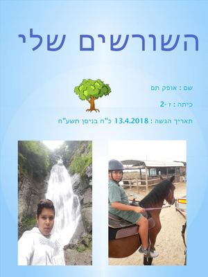 עבודת שורשים סיכום