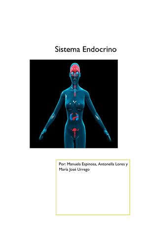 Biologia Sistema Endocrino Final Published