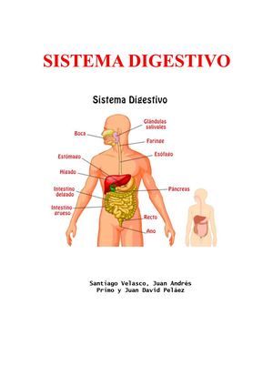 Trabajo Feria De La Ciencia Publisher Listo Santiago Velasco, Juan Andres Primo, Juan David Pelaez