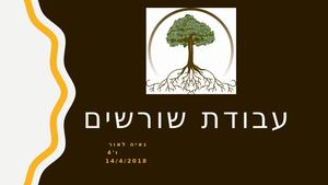 מצגת שורשים