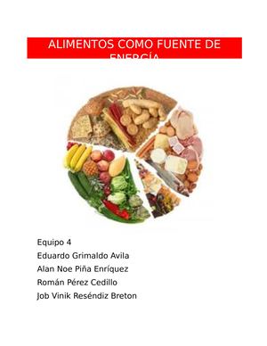 Alimentos Como Fuente De Energia