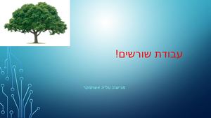 עבודת שורשים טליה אשתמקר