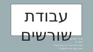 עבודת שורשים מלאה