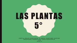 Las Plantas