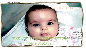 עבודת שורשים חלק א'