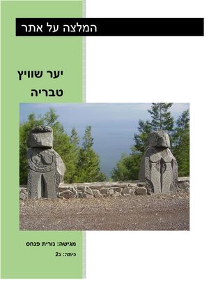 יער שוויץ טבריה נורית פנחס