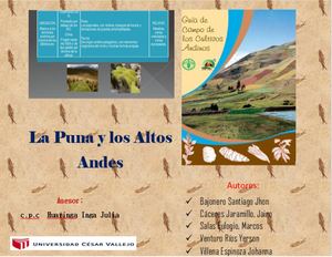 Tarea Para El Miercoles