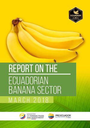Informe Sector Bananero Ingles 2018