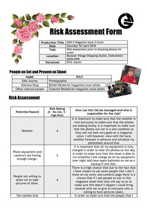 Risk Assesment 2