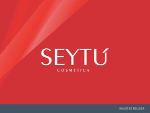 Presentacion Seytu Pe