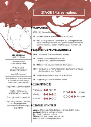 CV - BTS Design Graphique