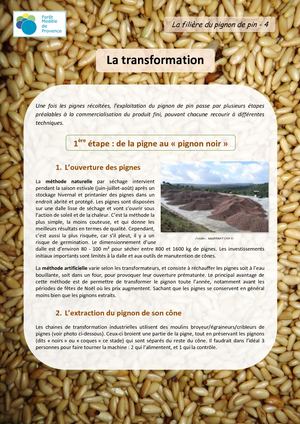 4 - La Filiere Du Pin Pignon : Transformation