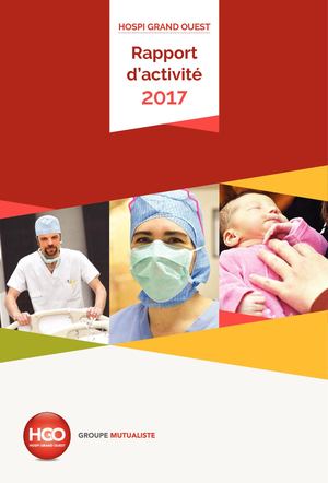 RAPPORT D'ACTIVITE HGO 2017