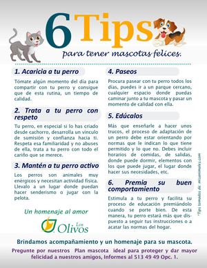 Tips para tener una mascota feliz