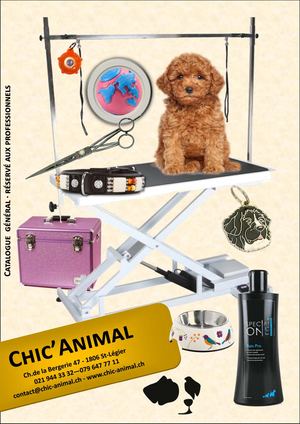 Chic'animal 2018