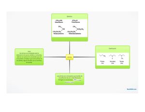 Mapa Conceptual Aminas