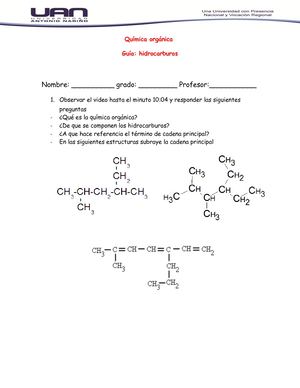 Guía De Trabajo Hidrocarburos