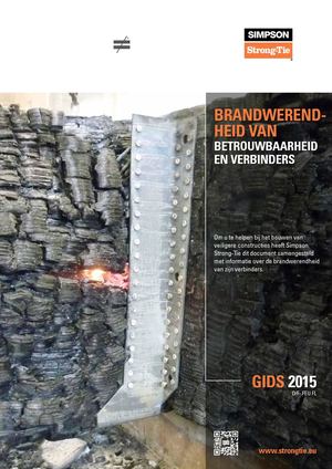 Brandwerendheid Van Betrouwbaarheid En Verbinders Original