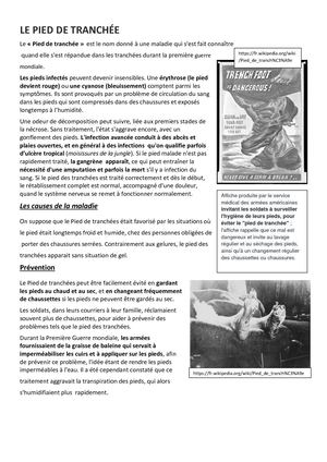 18 LE PIED DE TRANCHÉE