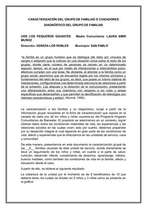 Caracterizacion Del Grupo De Familias O Cuidadores
