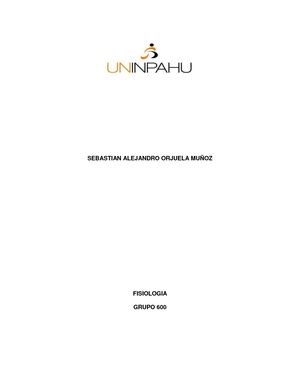 Fisiologia Iluminacion