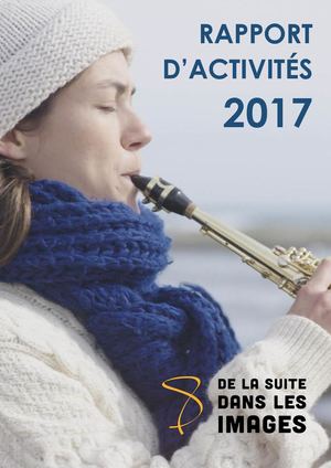 Rapport d'activites 2017