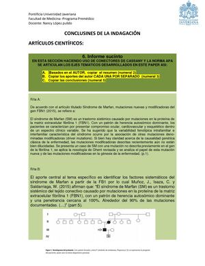 Conclusines De La Indagación