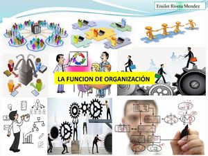 Función De Organización