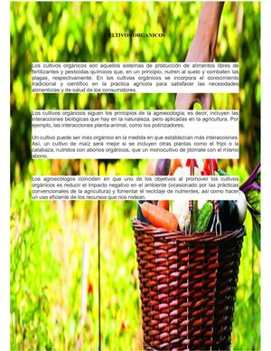 Cultivos Organicos