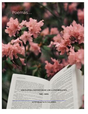 poemas/ Alicia de los angeles Ortiz M