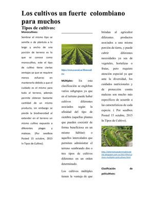 los cultivos y las semillas híbridas