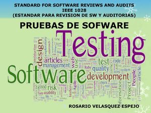 Tarea 2 Ieee 1028