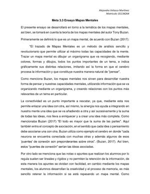 Ensayo Mapas Mentales