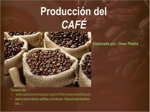 Proceso Del Cafe